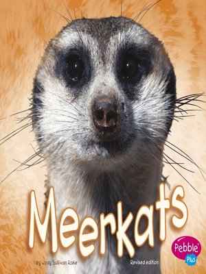 cover image of Meerkat
